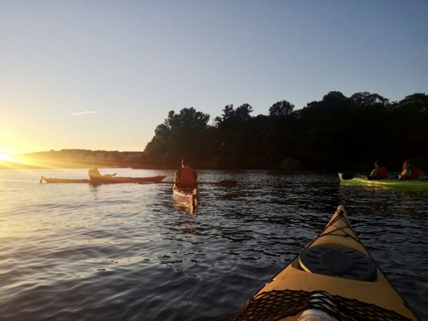 Stockholm: Sunset Kayak Tour in the City + Swedish Fika - Safety Information