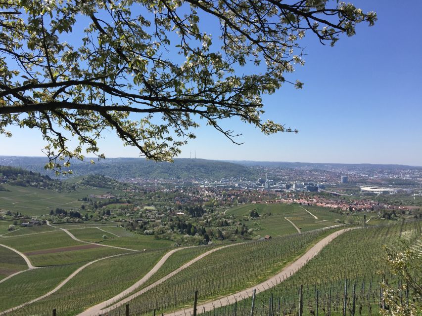 Stuttgart: Guided Wine Walk & Wine Tasting - Tips for an Enjoyable Experience