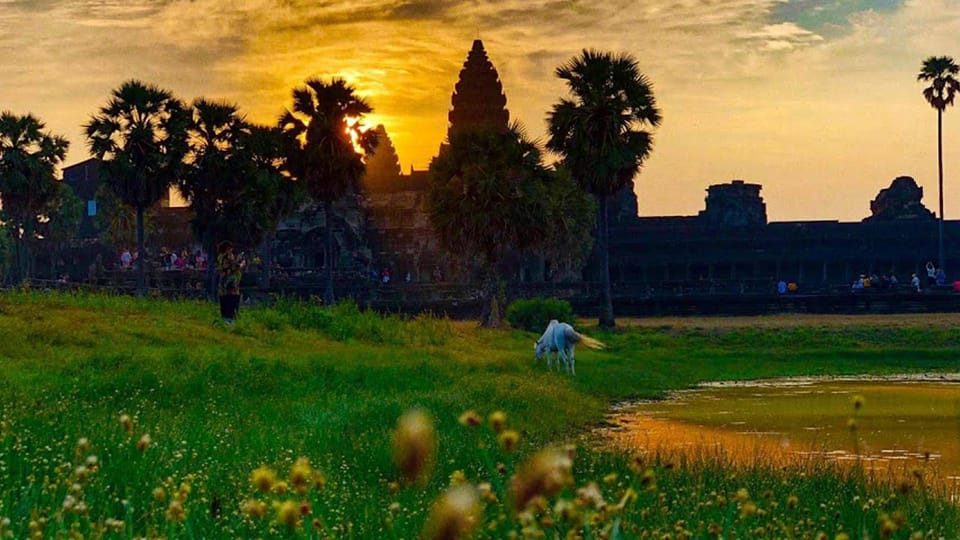 Sunrise Cycling Of Angkor Wat Temple - Booking Information