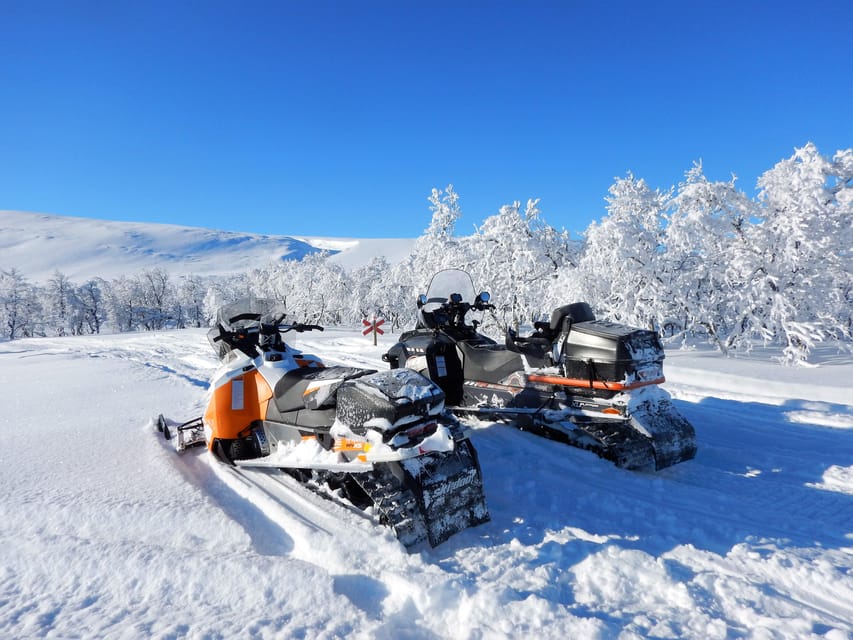 Swedish Lapland: Snowmobile Safari - Booking and Payment Options