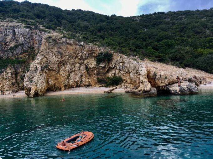 Swim and Snorkel With Capt. Bobo on Plavnik Island (Private) - Wildlife Encounters