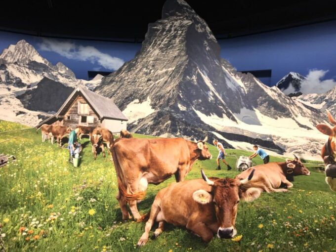 Swiss Chocolate Safari - Booking and Cancellation Policy