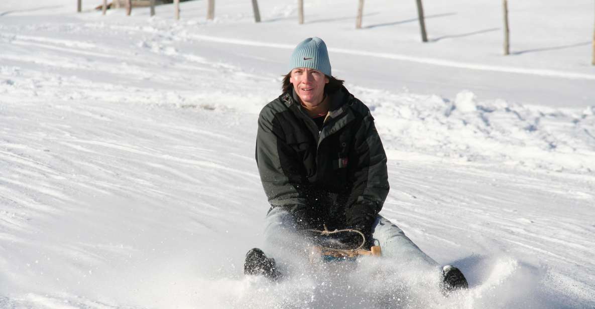 Switzerland: Private Sledging Day Tour - Alternatives to Sledging