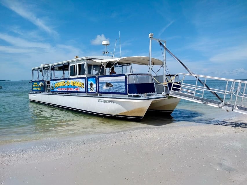 Tarpon Springs: Evening Dolphin Cruise - Tour Guide and Language