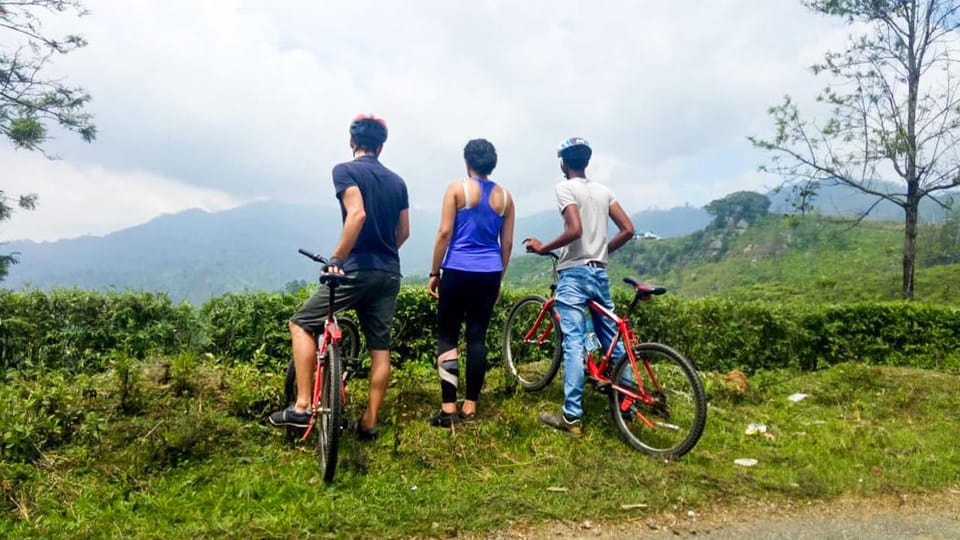 Tea Fields by Bicycle From Kandy - Frequently Asked Questions