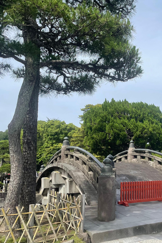 Temple Tour in Kamakura, The Samurai Capital - Booking and Cancellation Policies