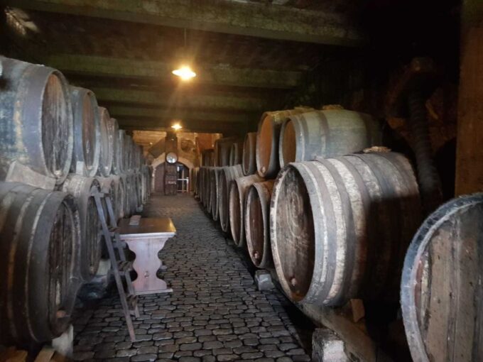 Tenerife: 4-Hour Gauchinche Food Tour - What to Bring