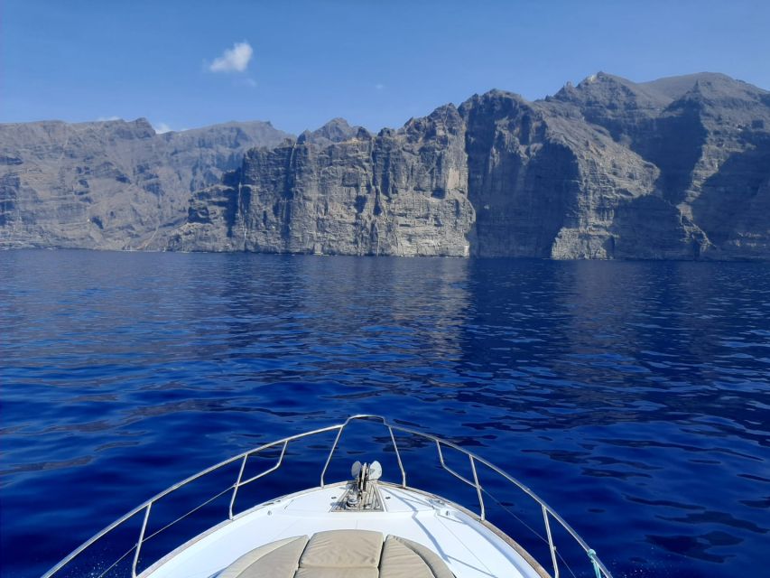 Tenerife: All-Inclusive 2 to 4 Hour Private Motorboat Tour - Complimentary Food and Drinks