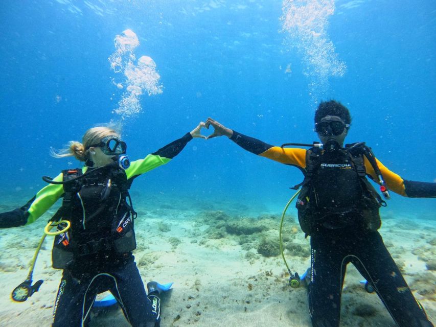 Tenerife: Beginners Dive at a Spot With Turtle Sightings - Meeting Point and Accessibility