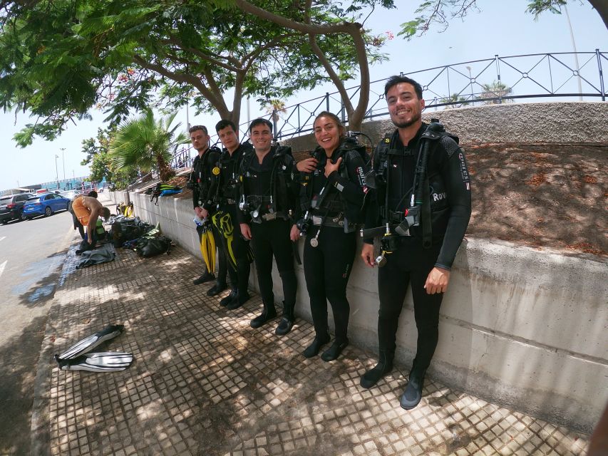 Tenerife: Costa Adeje Private Diving Lesson Experience - Underwater Landscapes and Wildlife