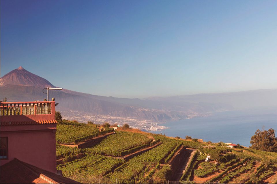 Tenerife: Full-Day Gastronomy and Wine Tour - Meal and Dining