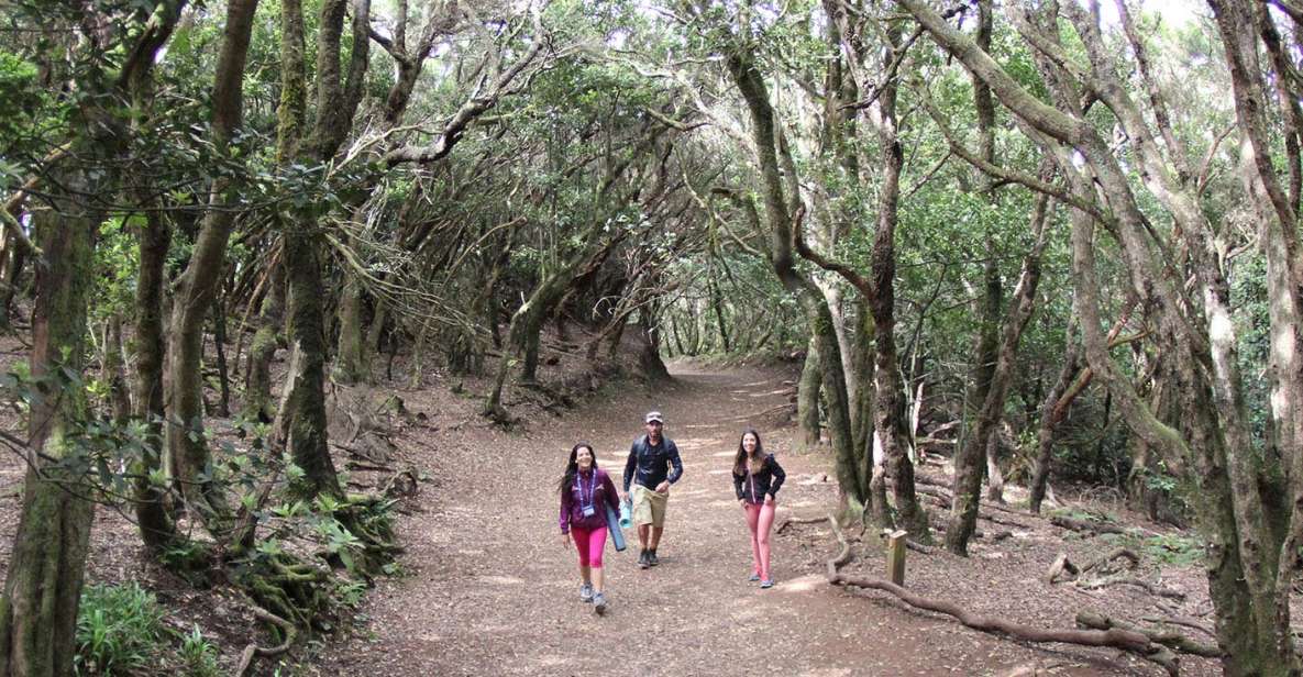 Tenerife: Guided Mindful Hike in Anaga Biosphere Reserve - Weather Considerations