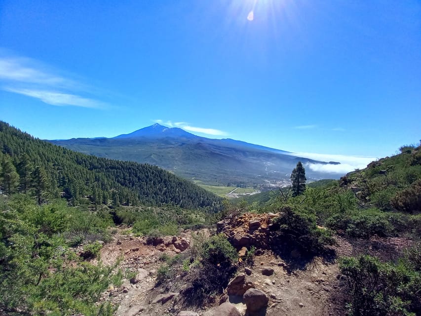 Tenerife: Hiking Above the Village of Masca - Reservation and Cancellation