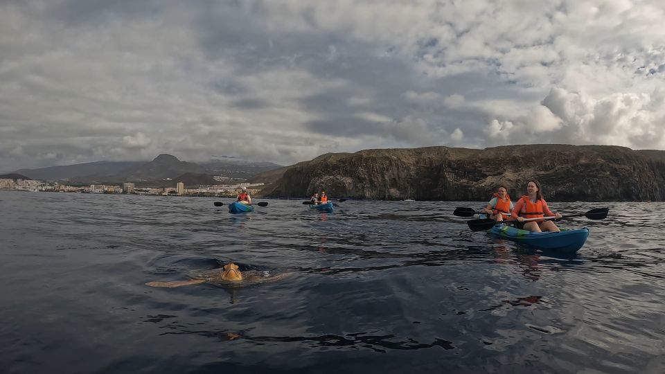 Tenerife: Kayak and Snorkel With Turtles - Encountering Marine Life