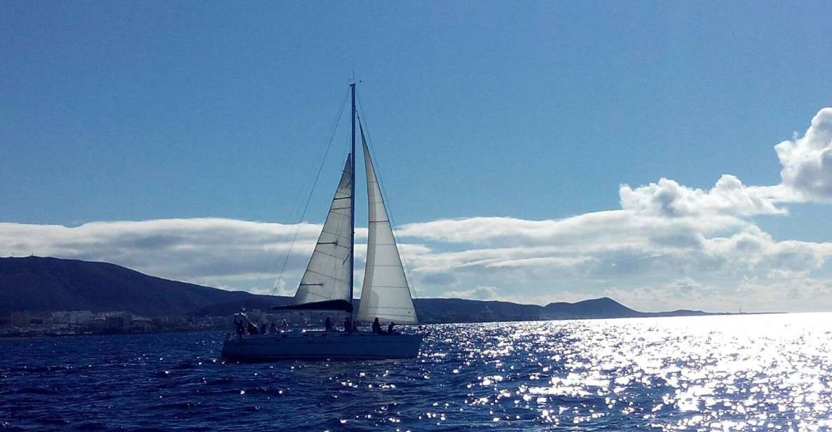 Tenerife: Private or Group 3 Hour Sailing Cruise With Drinks - Frequently Asked Questions