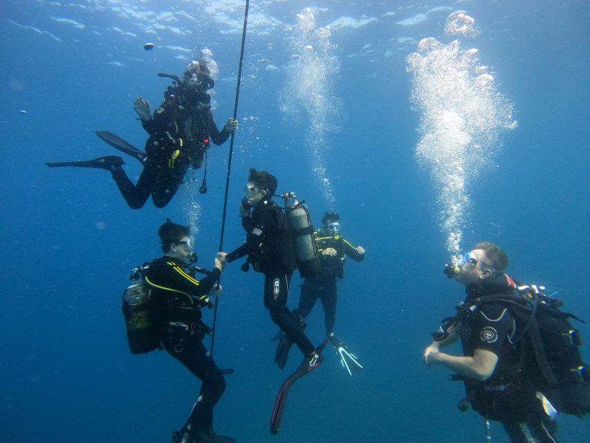 Tenerife: Scuba Diving for Certified Divers in Tenerife - Dive Site Exploration