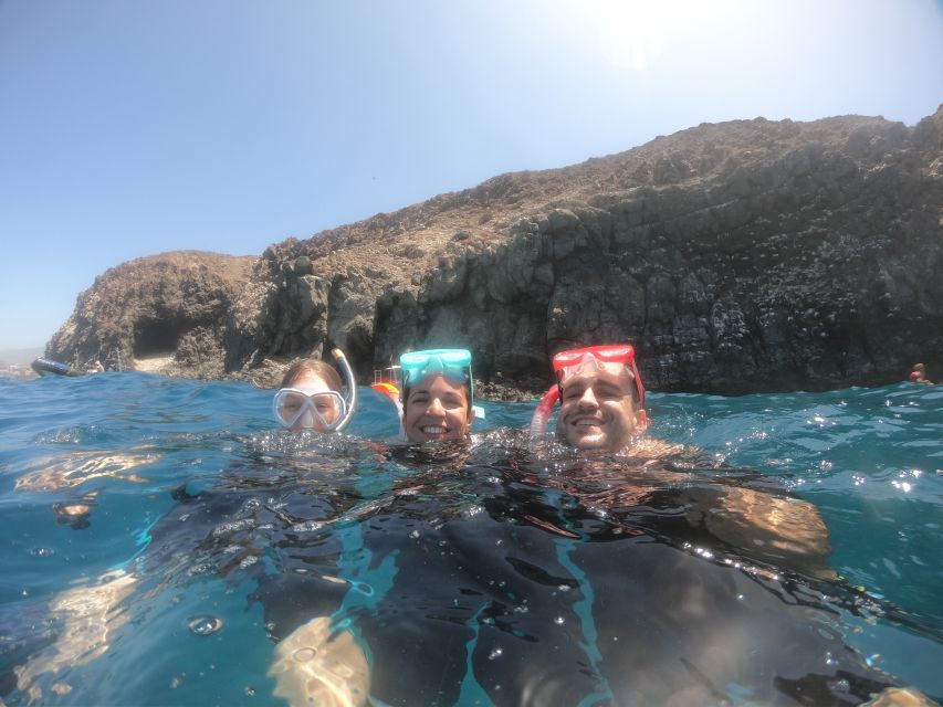 Tenerife: Snorkeling Trip in a Turtle Habitat - Transportation and Location