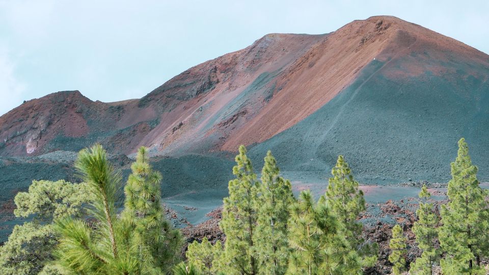 Tenerife: Teide Volcano and North of the Island VIP Tour - Explore Teide Volcano