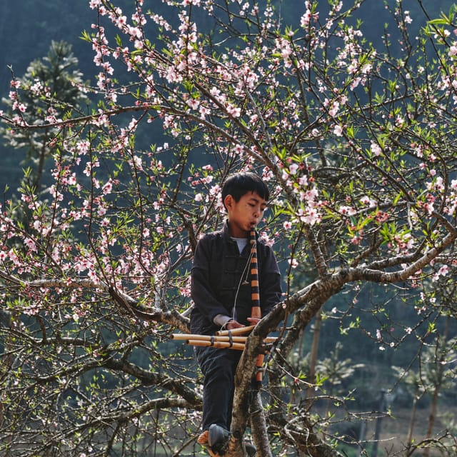 The AUTHENTIC Ha Giang Loop 3D2N With Easy Rider/Self-Drive - Cultural Experiences