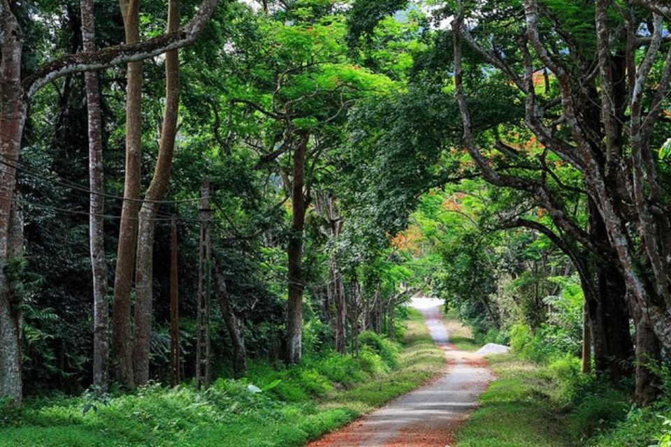 The Best Easy Trek Cuc Phuong National Park - What to Bring