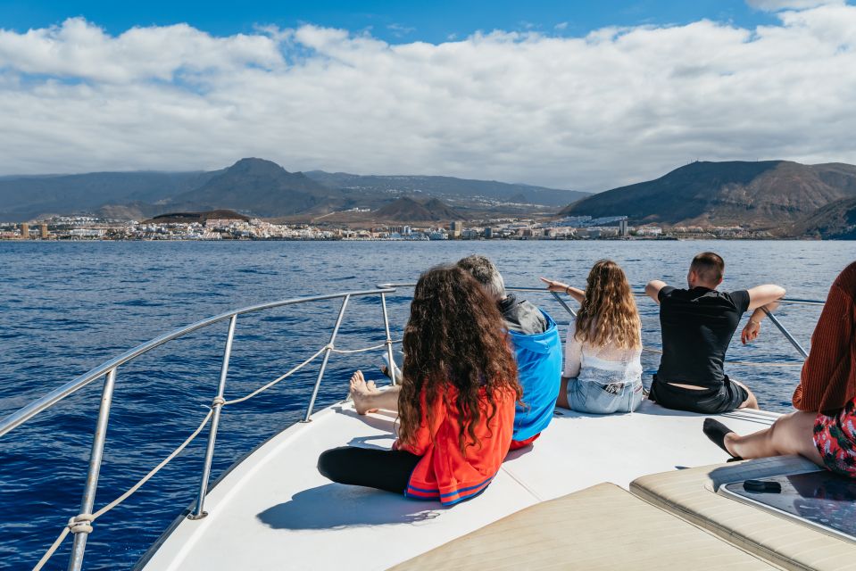 The Cookies: Whale & Dolphin Tour With Local Skipper - What to Bring