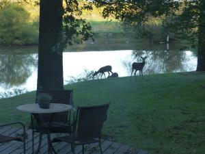 The Inn at White Oak - Tips for Your Stay