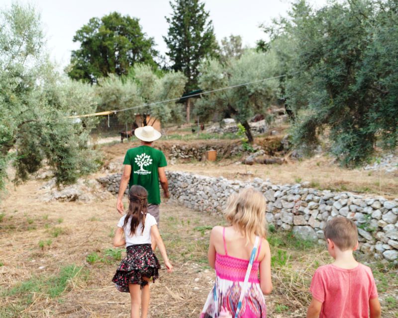 The Olive Oil Experience @ Lefkada Micro Farm - Organic Olive Grove Characteristics