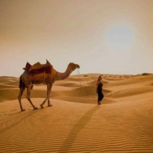 The Real Jodhpur Camel Safari In Desert Wita Marwadi Dinner - Tips for a Memorable Trip