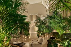 The Tampa EDITION - Special Offers and Packages