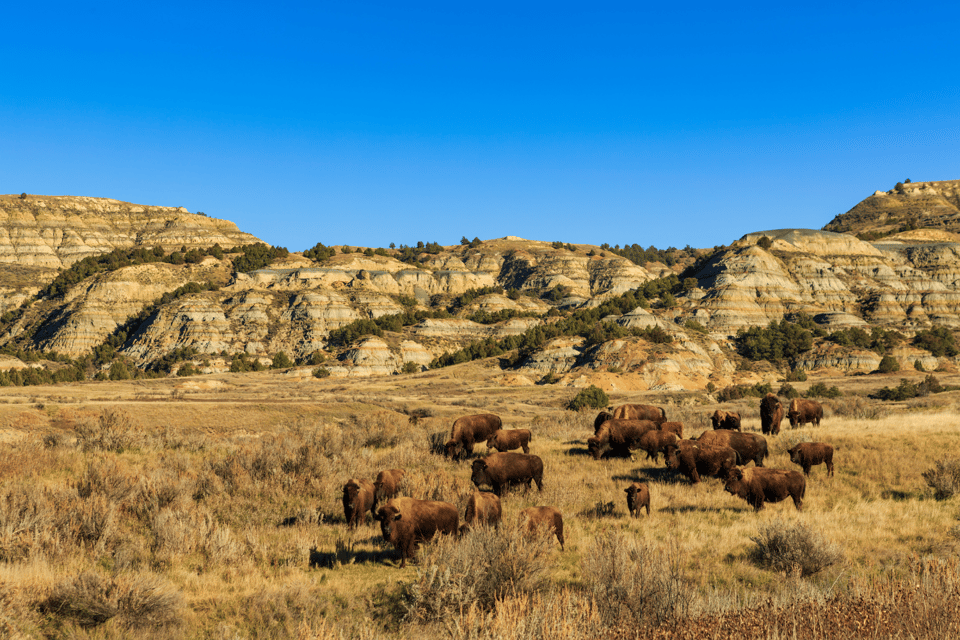 Theodore Roosevelt National Park Self-Guided Audio Tour - Frequently Asked Questions