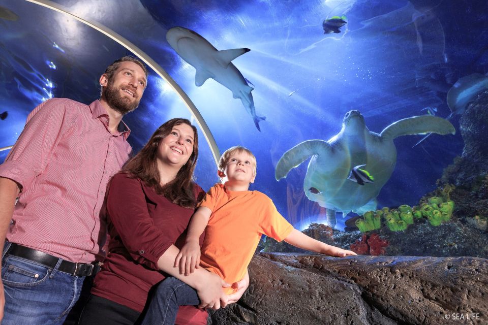 Ticket to SEA LIFE Konstanz - Best Time to Visit