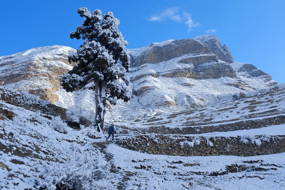 Tilicho Lake & Mesokanto Pass Trek: A 14-Day Adventure - Best Seasons