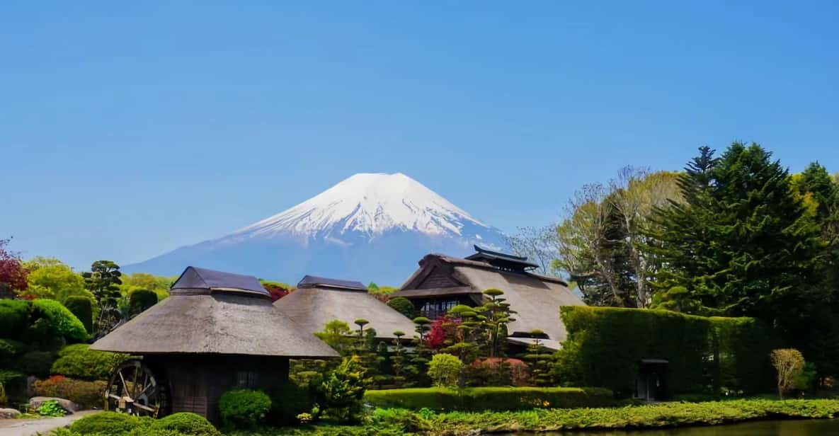 Tokyo 23wards-Fuji Day Tour: 10 Hours Private Car Use - Accessibility Features