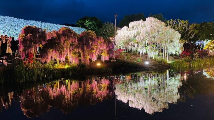 Tokyo: Ashikaga Flower Park With Entry Ticket - How to Get There