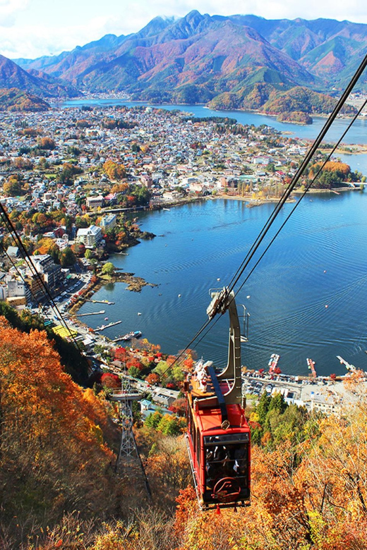 Tokyo: Guided Tour Mt. Fuji, Oishi Park, Odawara,Tokyo Tower - Nearby Attractions and Tips