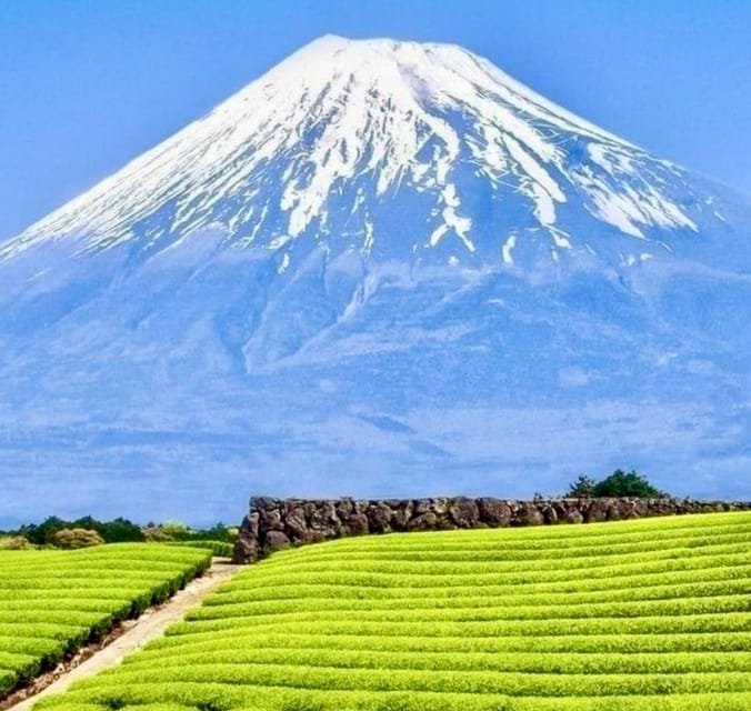 Tokyo: Mount Fuji or Hakone Customized Private Full-Day Trip - Customization Options