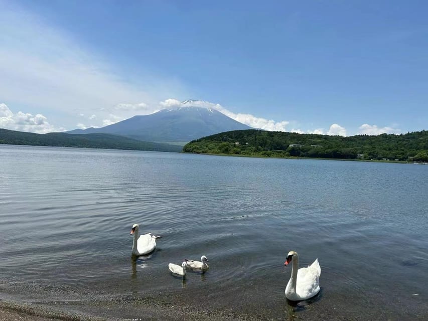 Tokyo: Mount Fuji Views & KABA Amphibious Bus Day Tour (OPT) - Frequently Asked Questions