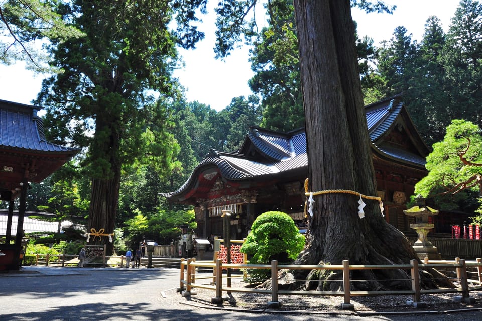 Tokyo: MT FUJI & HAKONE Private Sightseeing Tour - Scenic Lake Ashi Cruise