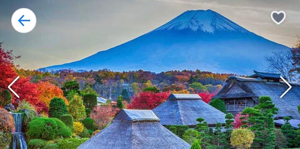 Tokyo: Mt. Fuji, Kawaguchi Lake, & Oshino Hakkai Day Trip - Booking Information