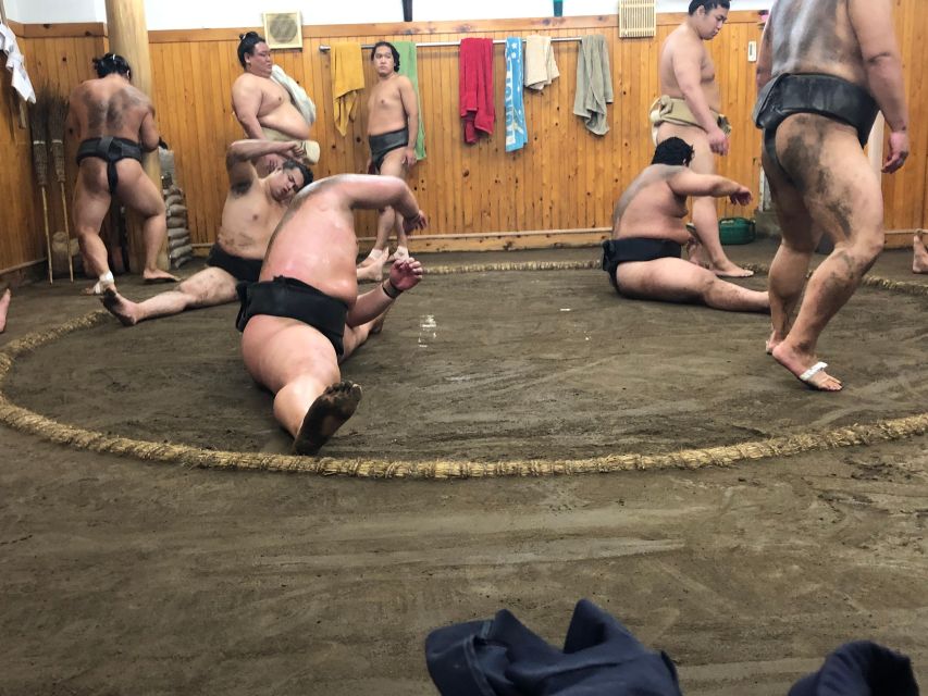 Tokyo: Real Sumo Morning Practice Tour at Yokozuna Stable - Booking Your Sumo Tour