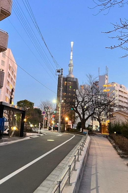 Tokyo Sky Tree View Unique Shrines,Temples Tour in Asakusa - Booking Information