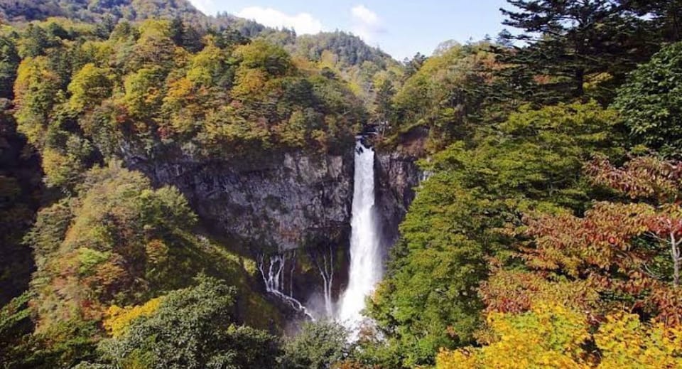 Tokyo to Nikko Private Tour - Customer Reviews