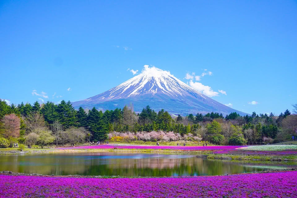 Tokyo:Private Mt Fuji Sightseeing Tour in Luxury Landcruiser - Culinary Experiences Included