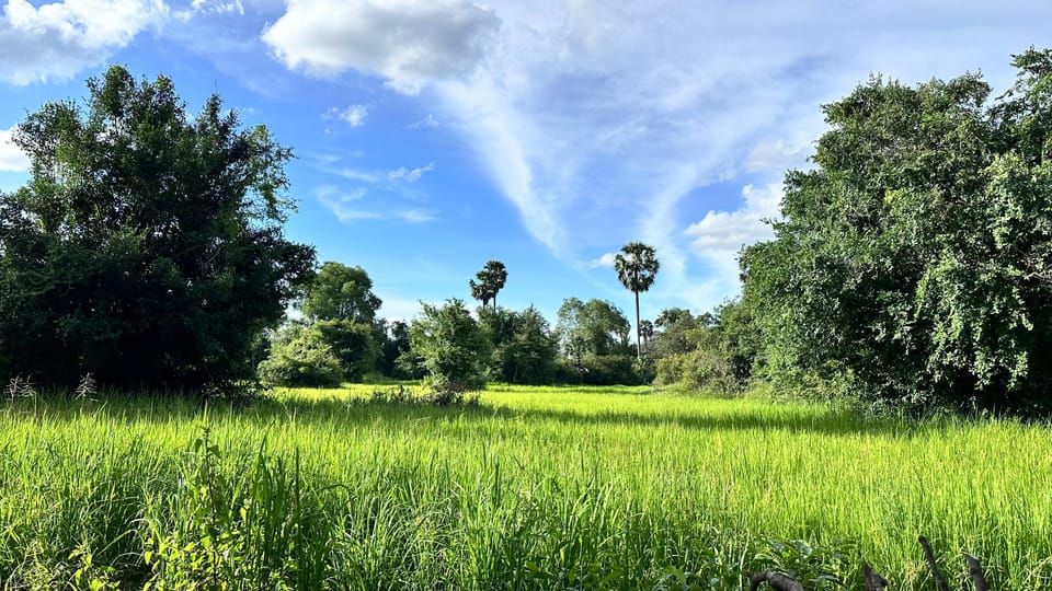 Tonle Sap Tour, Mechrey Floating Village and Ox Cart Ride - Recommendations for Participants