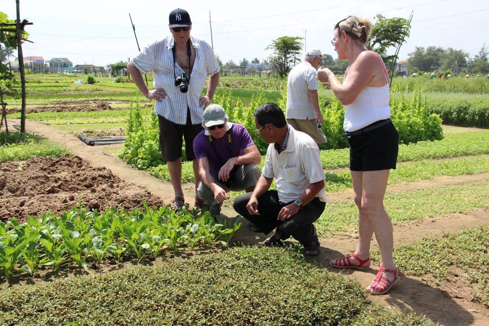 Tra Que Cooking Class - Tips for Attendees