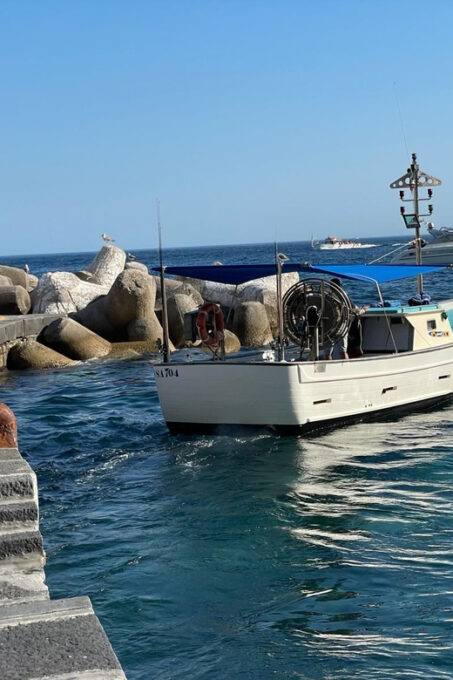 Traditional Gozzo - Boat Tour - Amalfi Coast - Maria S.S. - Language Availability