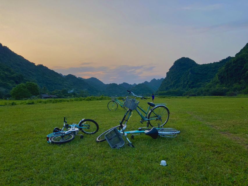 Trek and Kayak: Cat Ba National Park 1 Day Adventure - What to Expect on Your Adventure