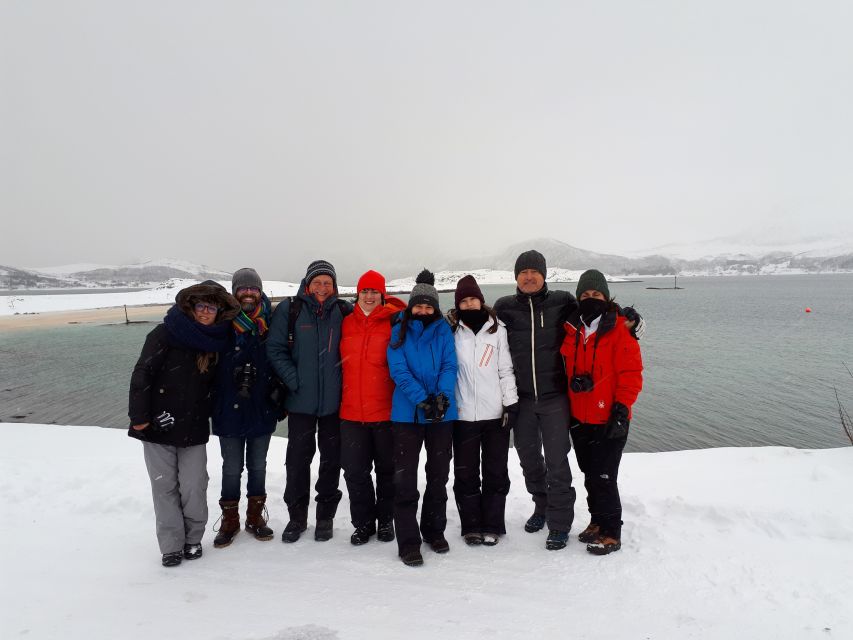 Tromsø: Arctic Landscape and Fjord Tour With Snacks - Customer Reviews and Ratings