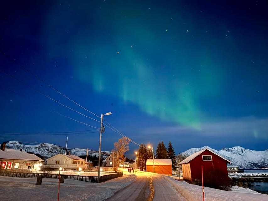 Tromso: Aurora Tour Hygge Magic Experience.(Wifi Free) - Child and Accessibility Options