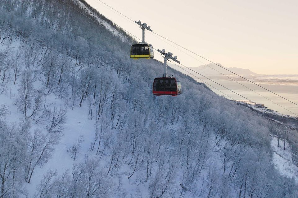 Tromsø: Daytime Fjellheisen Snowshoe Hike and Cable Car Ride - Frequently Asked Questions